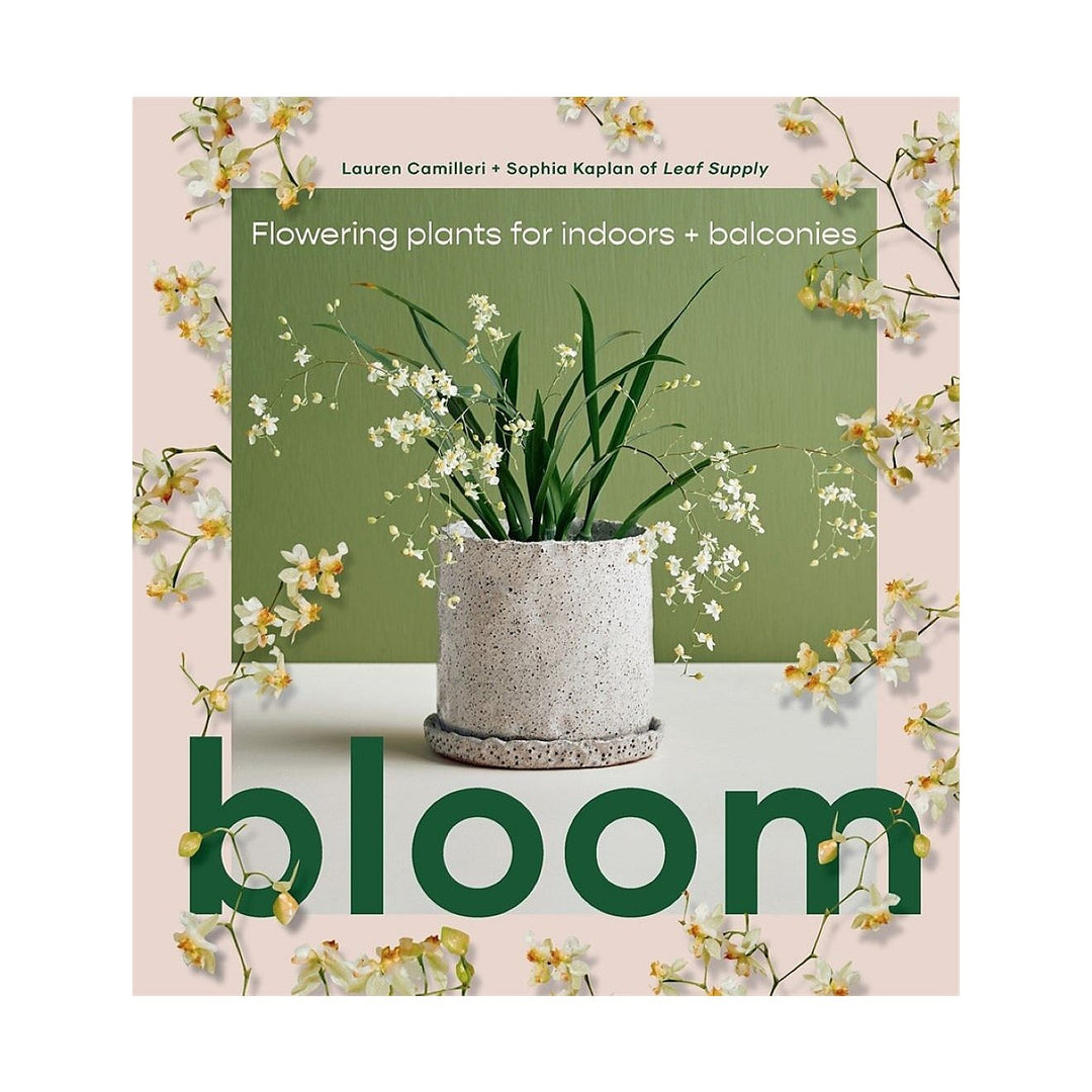 Bloom: Flowering Plants for Indoors and Balconies