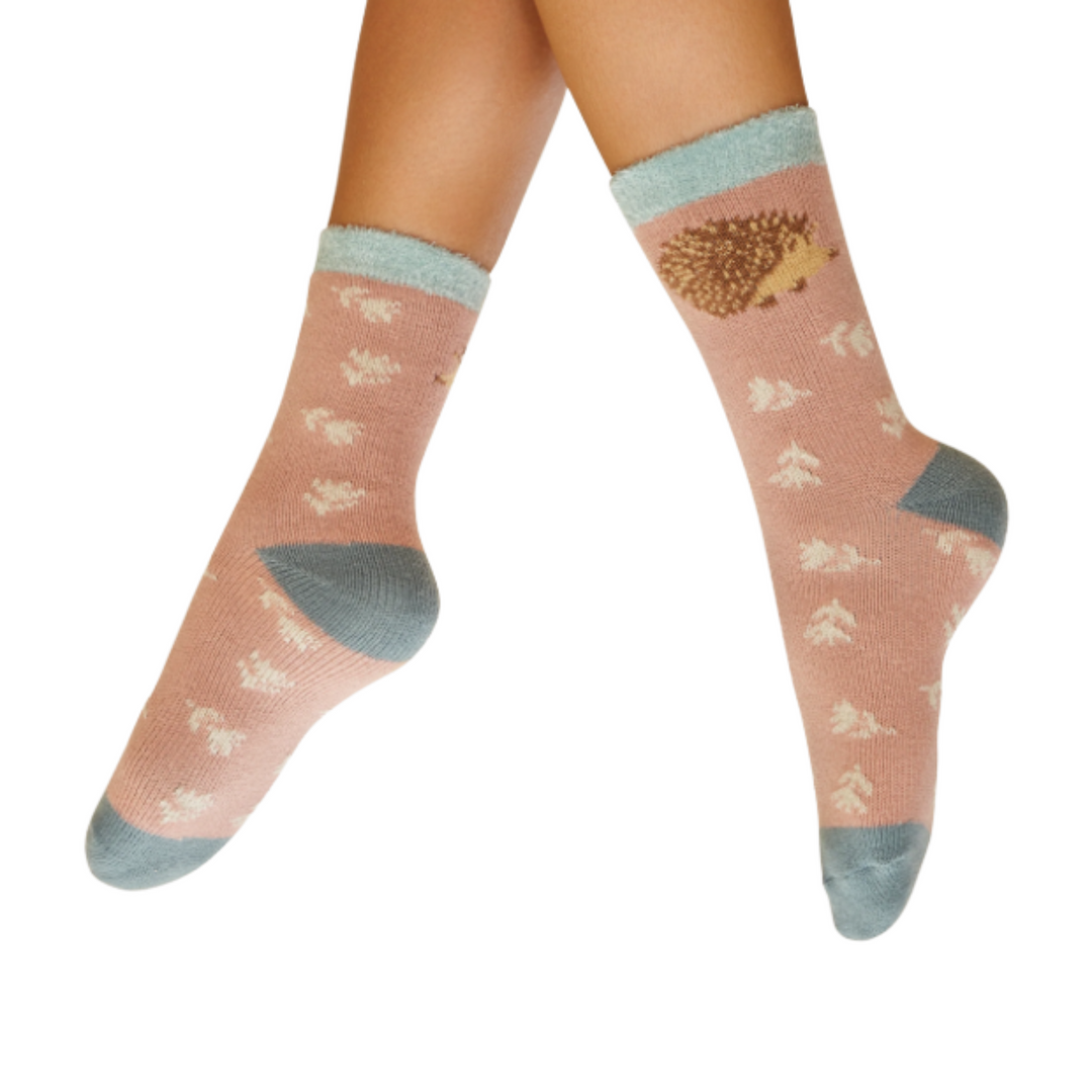Socks - Cosy