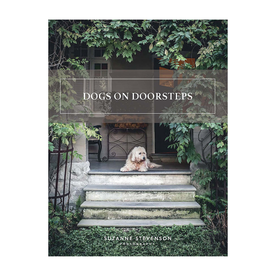 Dogs on Doorsteps