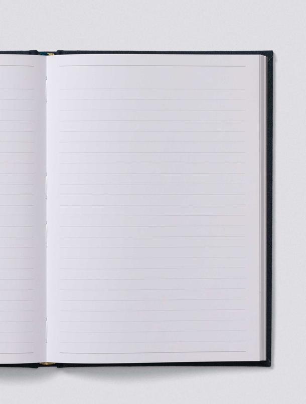 Lined Journal. Write