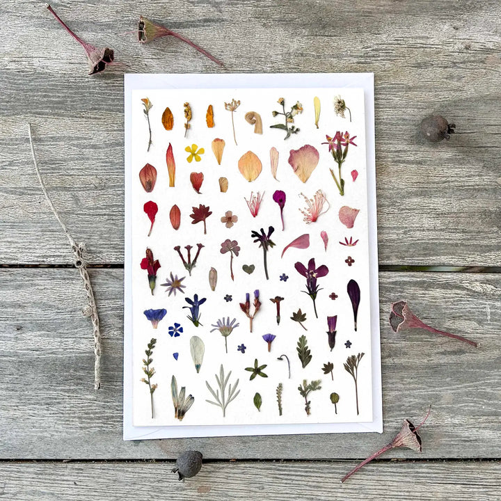 Card Little Petals & Leaves