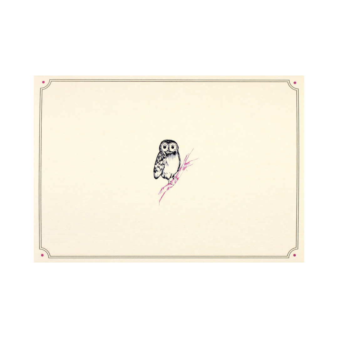 Note Cards Boxed