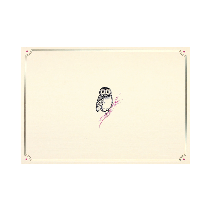 Note Cards Boxed