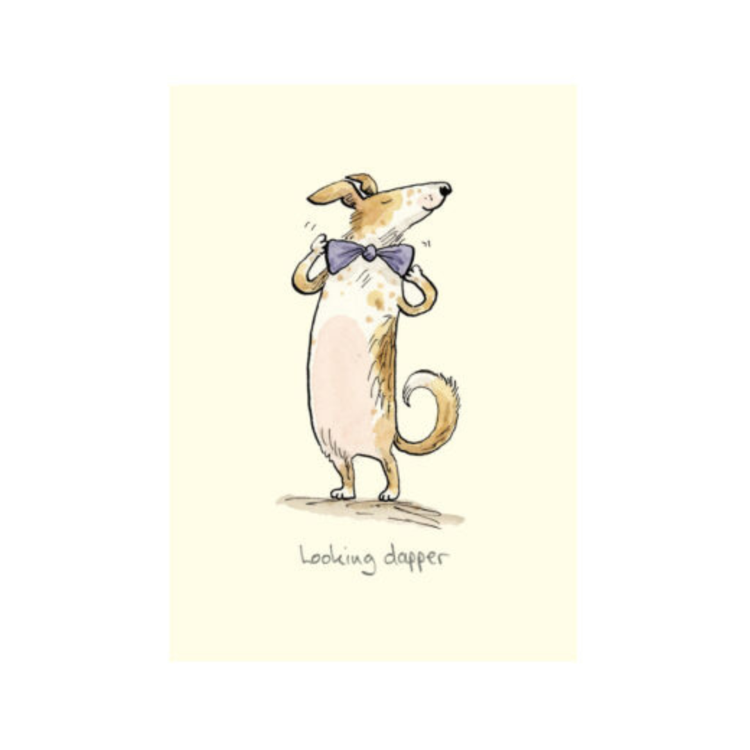 Card Looking Dapper