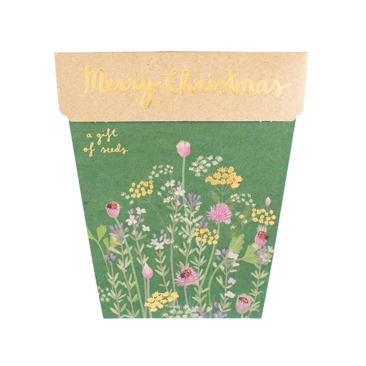 Xmas Gift of Seeds