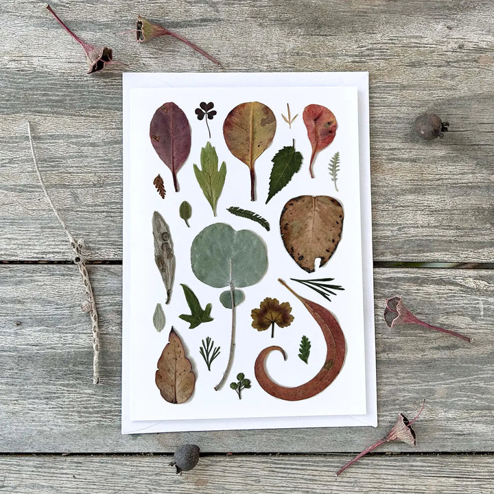 Card Lots Of Leaves