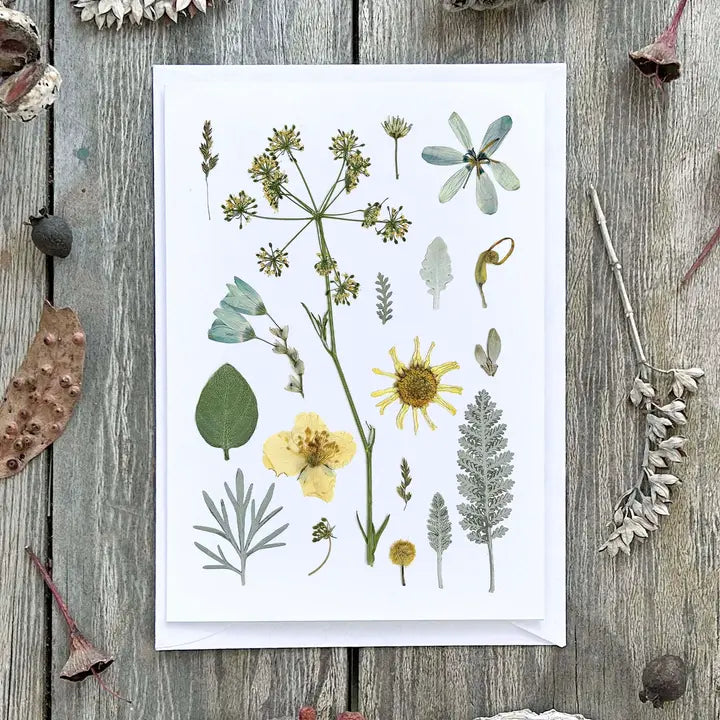 Card Garden In Starlight