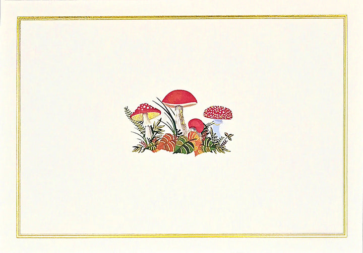 Note Cards Boxed