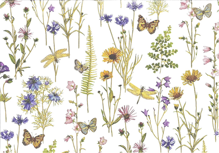 Note Cards Boxed