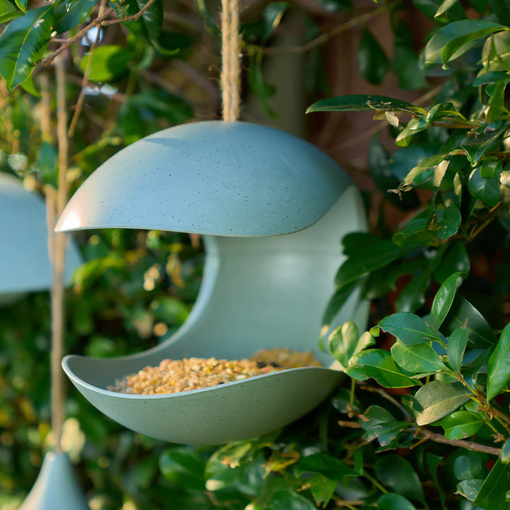 Bird House Bamboo Pod