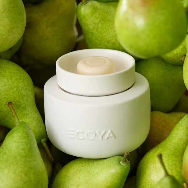 Electric Wax Melter