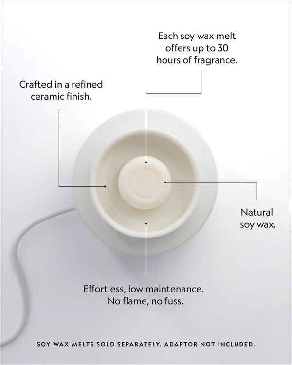 Electric Wax Melter