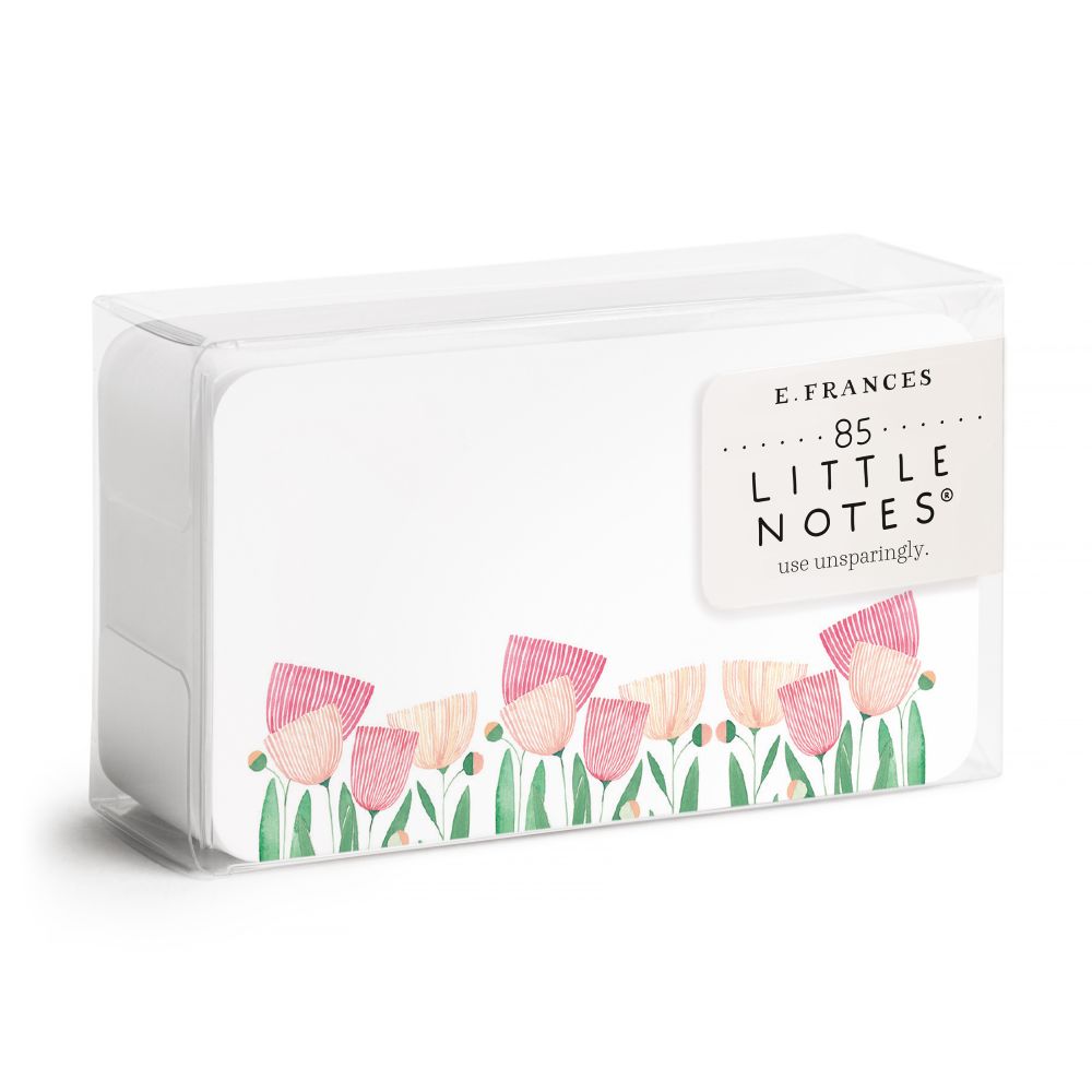 Little Notes 85 Pack