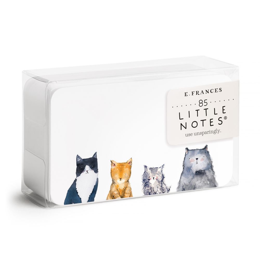 Little Notes 85 Pack