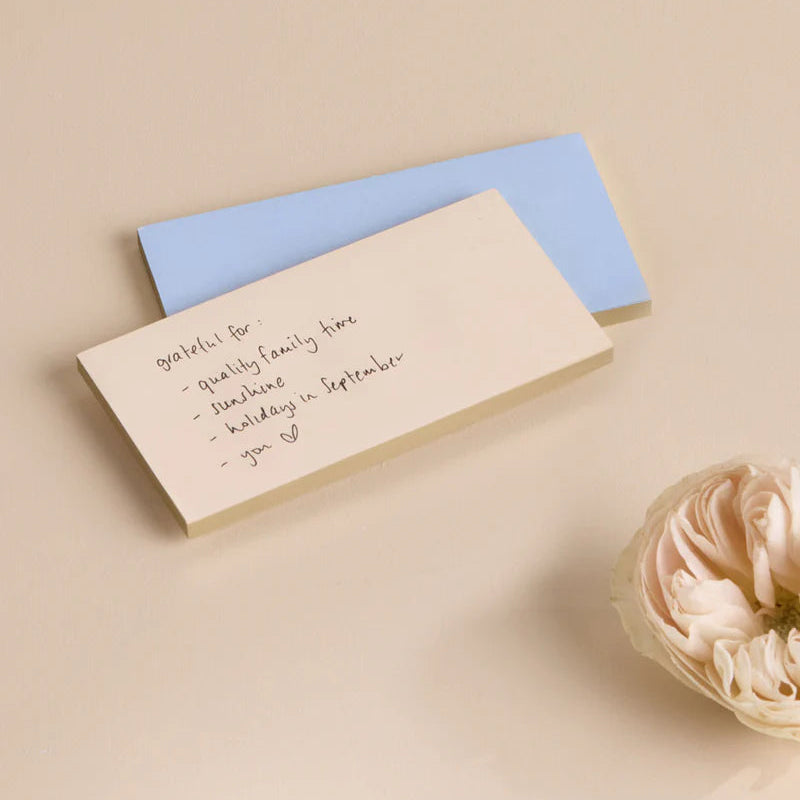 Note Taker Sticky Notes 2pk