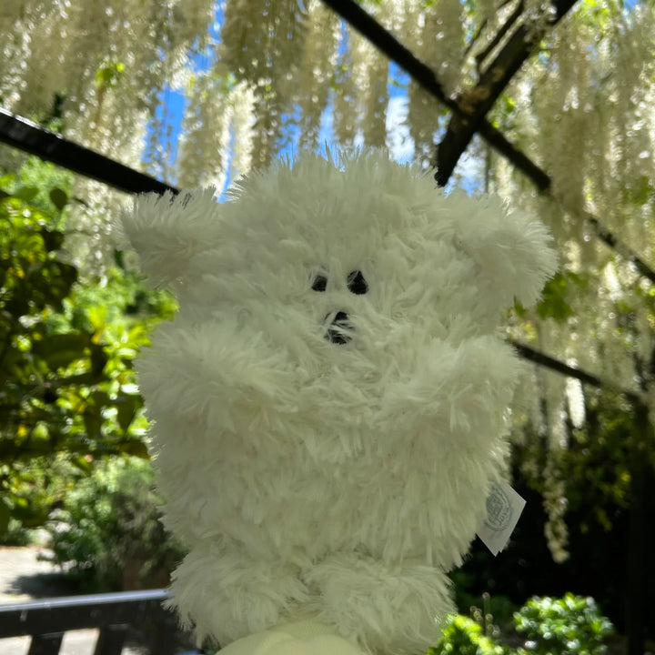 Stuffed Animal