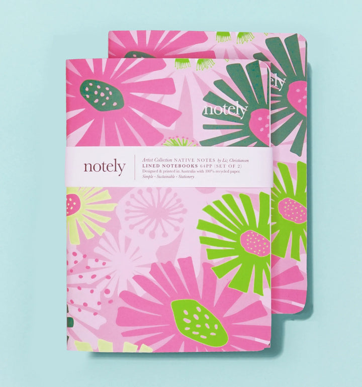 A5 Notebook (Set of 2) Lined