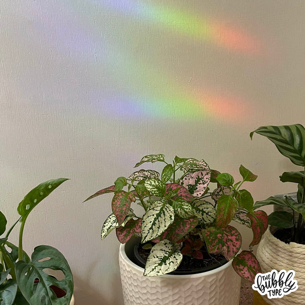 Sun Catcher Window Decals