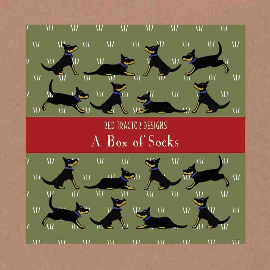 Socks Boxed