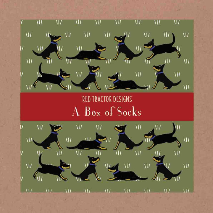 Socks Boxed