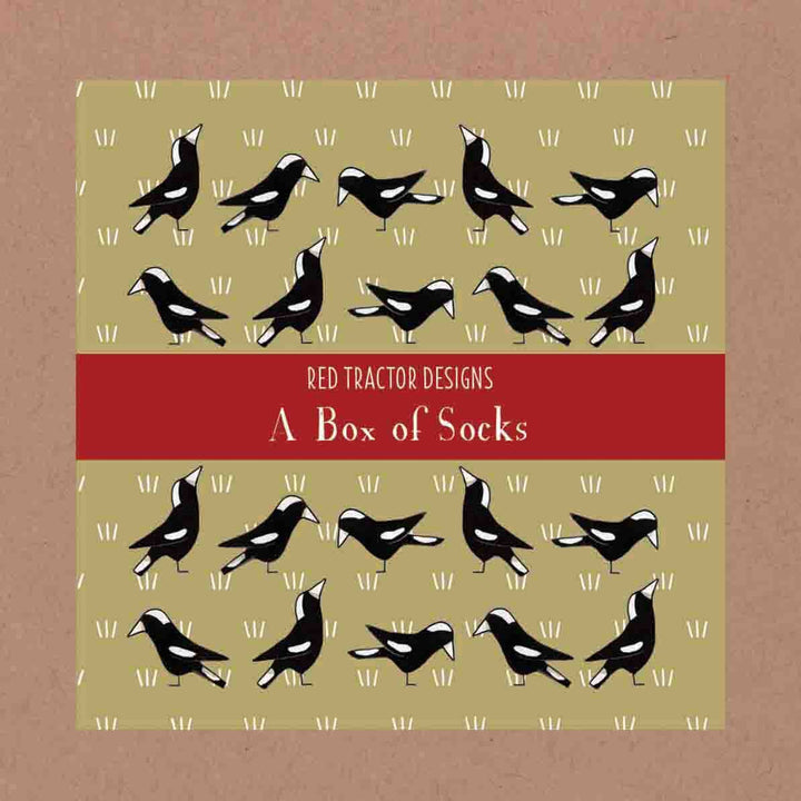 Socks Boxed
