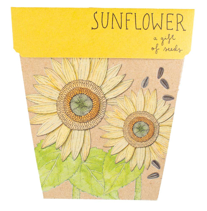 Gift Of Seeds