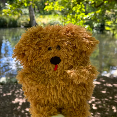 Stuffed Animal