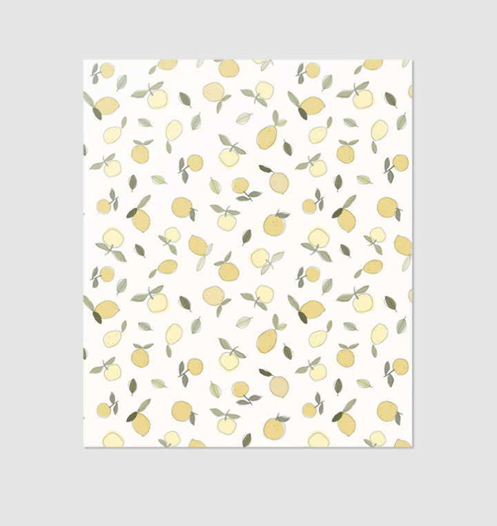 Signature Notebook