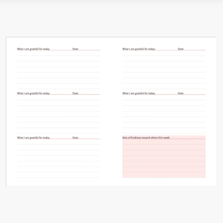 A Daily Dose of Gratitude Journal