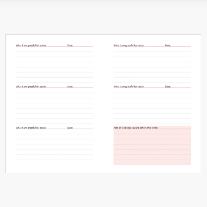 A Daily Dose of Gratitude Journal