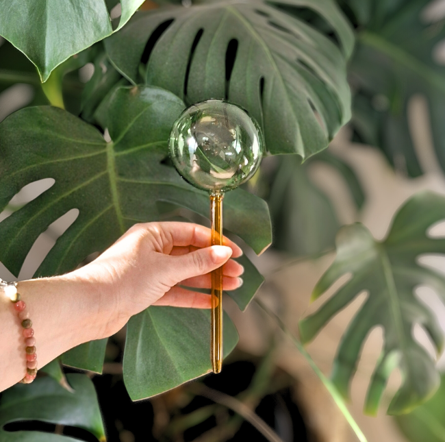Self-Watering Plant Globes
