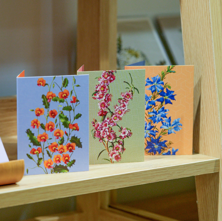 Blossoms Boxed Florist Cards