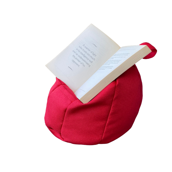 Bean Bag Book Holder