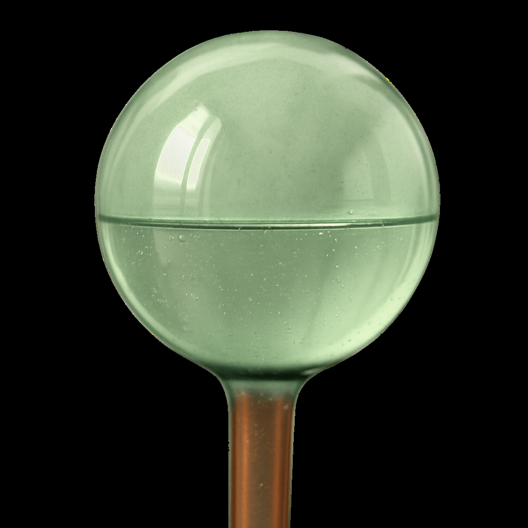 Self-Watering Plant Globes