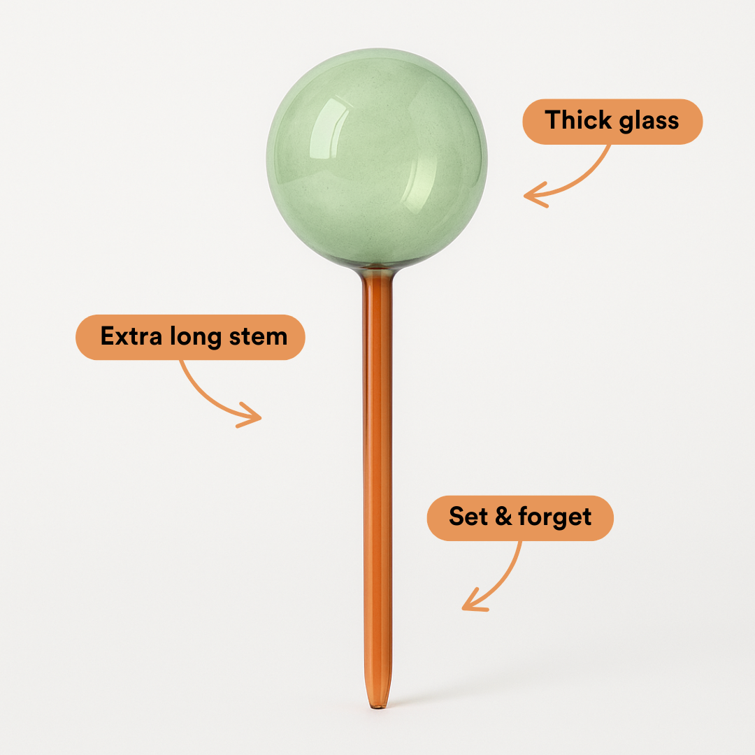 Self-Watering Plant Globes