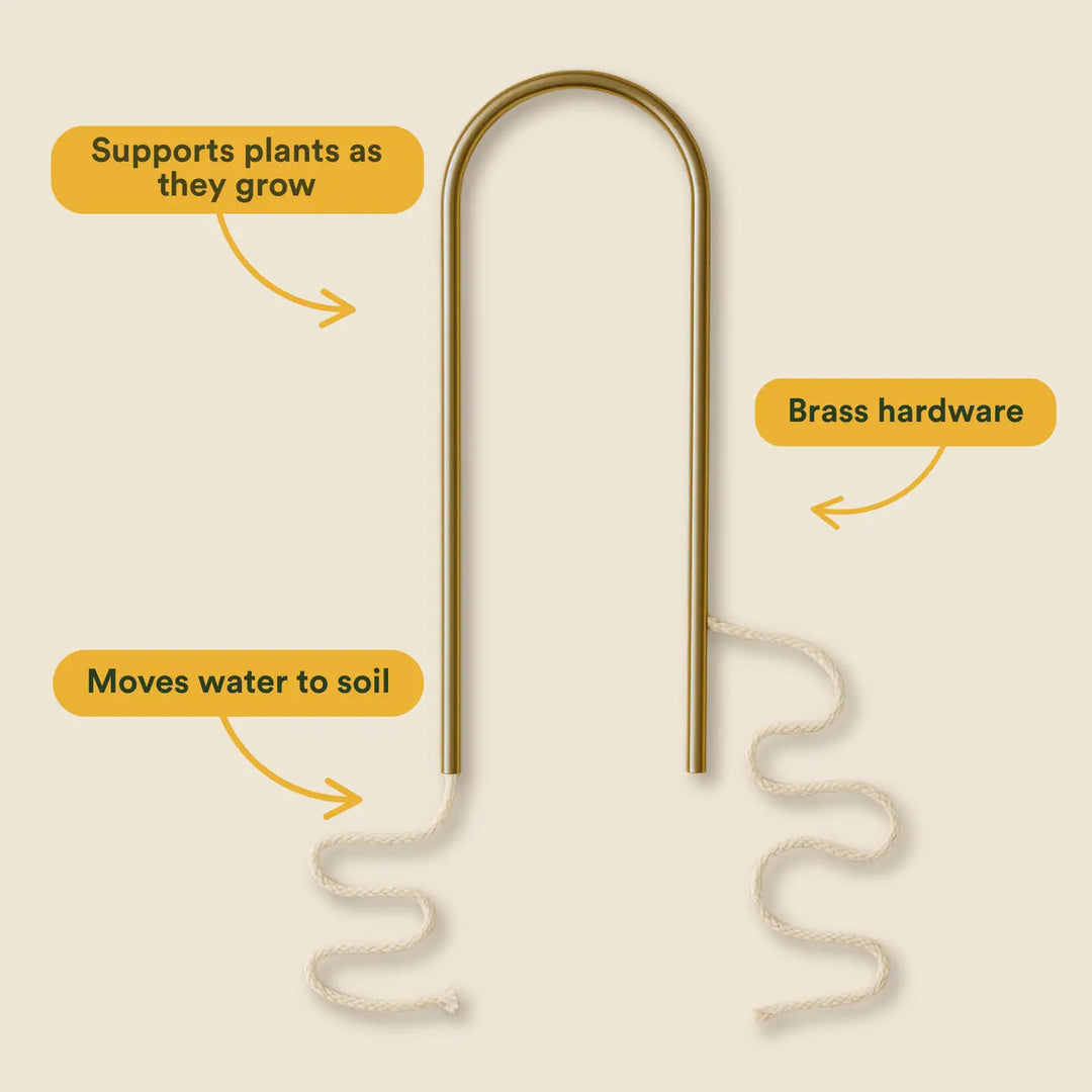 Self-Watering Plant Climber