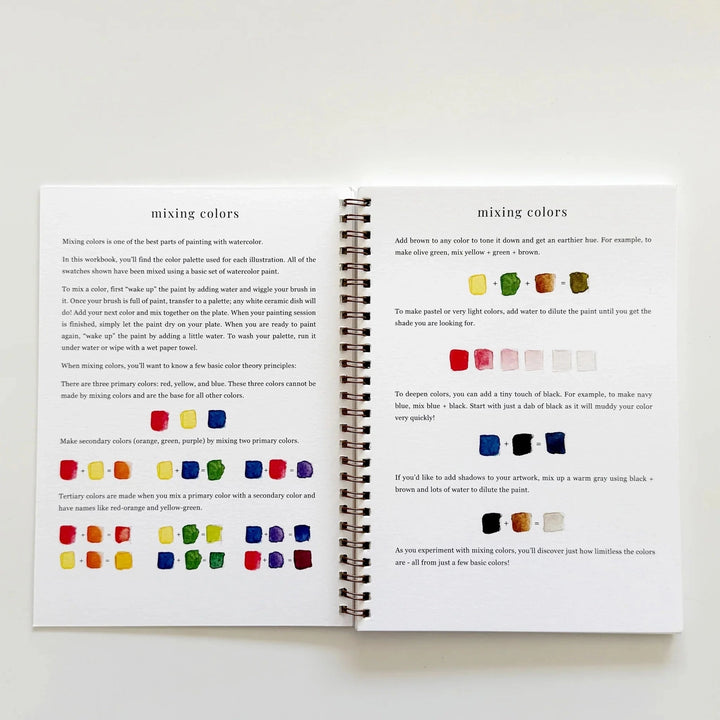 Birds Watercolour Workbook