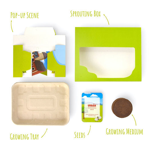 PopUp Microgreens Grow Kit