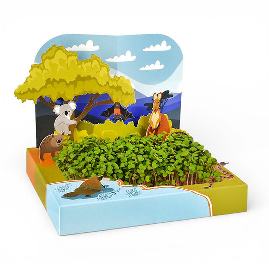 PopUp Microgreens Grow Kit