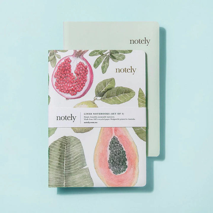 A5 Notebook (Set of 2) Lined