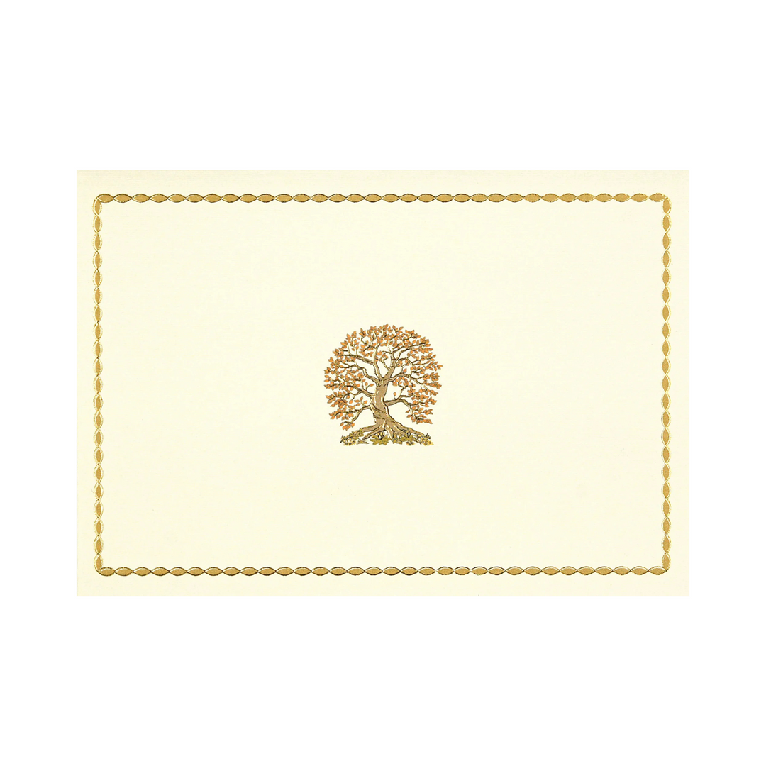 Note Cards Boxed
