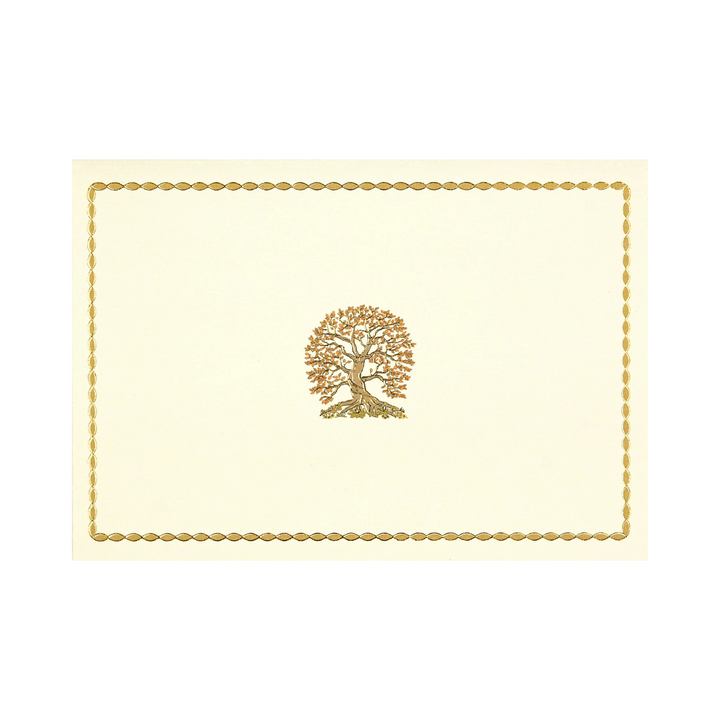 Note Cards Boxed
