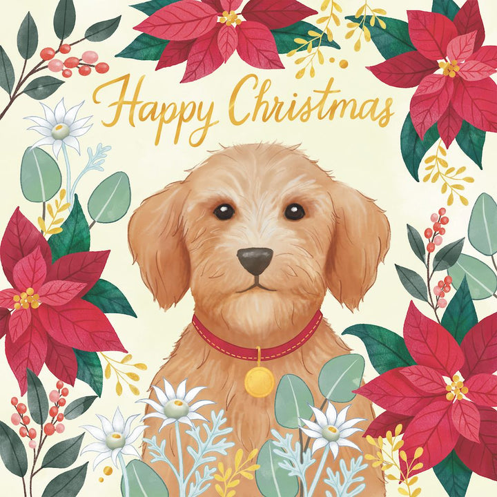 Charity Xmas Cards 10pk
