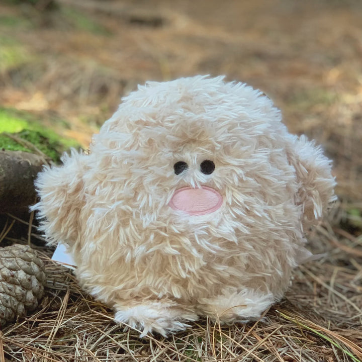 Stuffed Animal