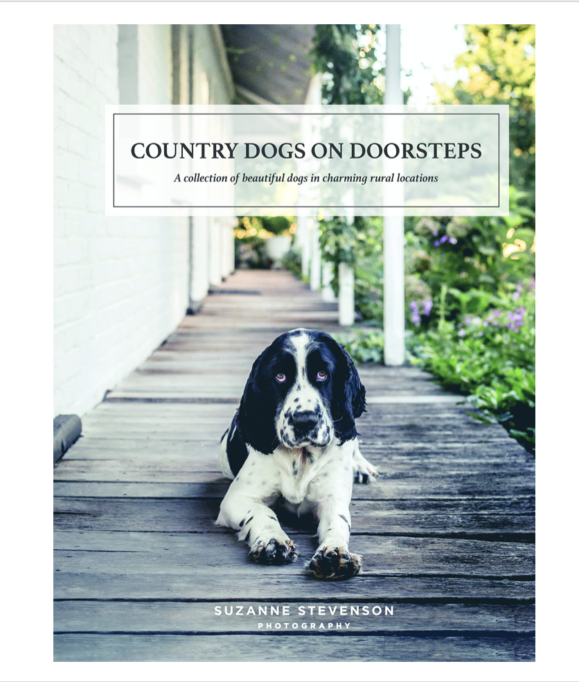Country Dogs On Doorsteps