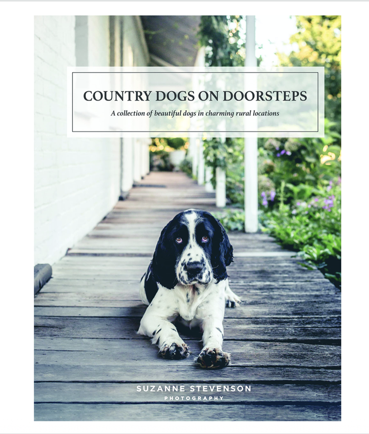 Country Dogs On Doorsteps