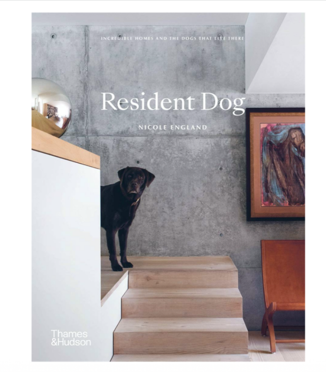 Resident Dog
