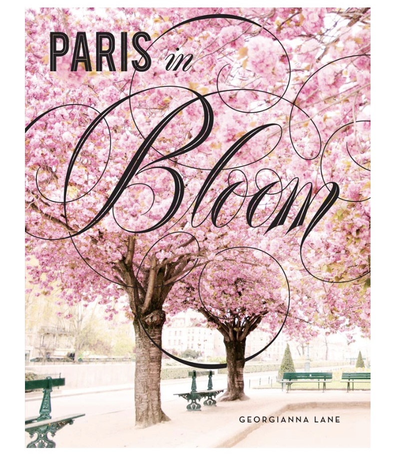Paris In Bloom