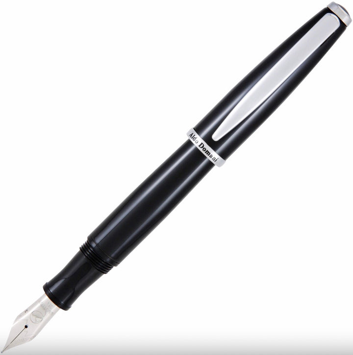 Aldo Domani Fountain Pen