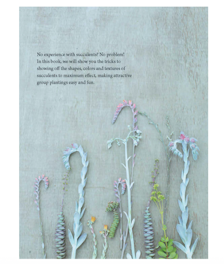 Container Succulents Book